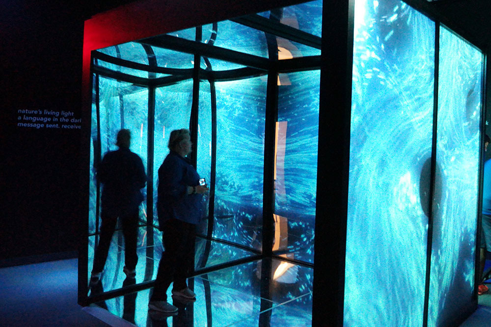 Art installation takes  living light to infinity