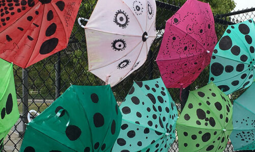 Colorful umbrellas look like lady bugs