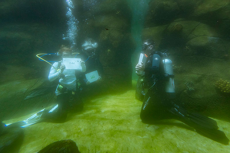 San Diego Zoo hosts underwater wedding