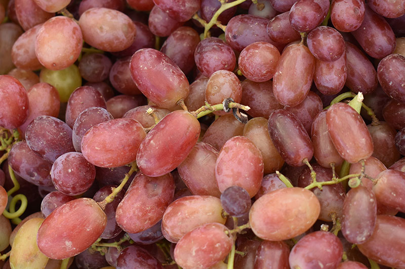 Flavor loaded fruit at the Farmer’s Market
