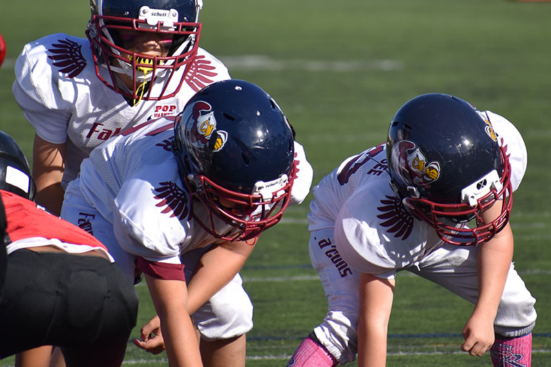 Falcons Pop Warner scores and events