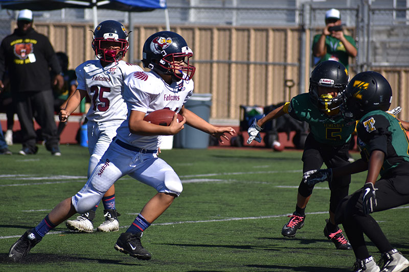 Junior Pee Wee Falcons advance