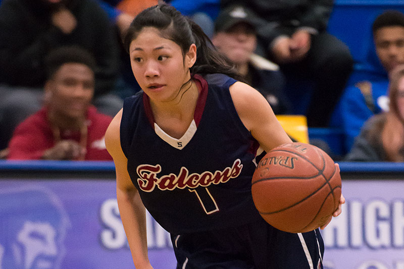 Lady Falcons dominate SDHS