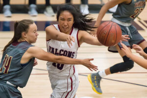 Lady Falcons gain another big victory