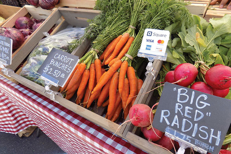 Scripps Ranch man grows fresh produce