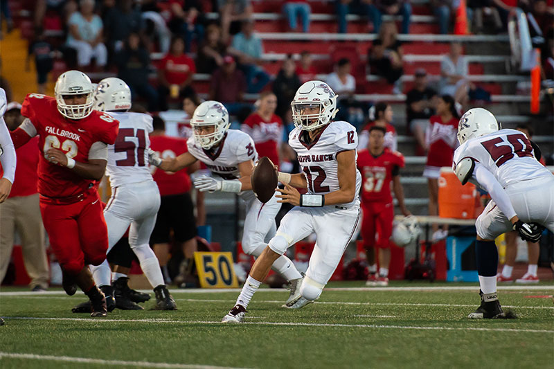 Falcons earn another victory