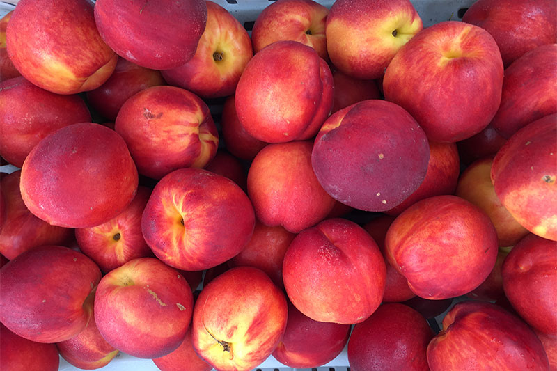 Halloween event to be Farmer’s Market’s last