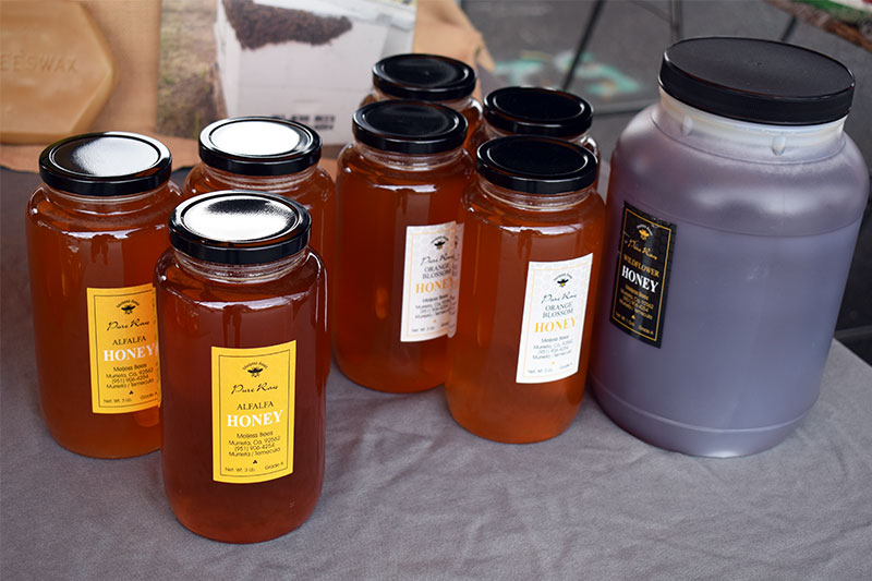 Buzzing with sweet honey
