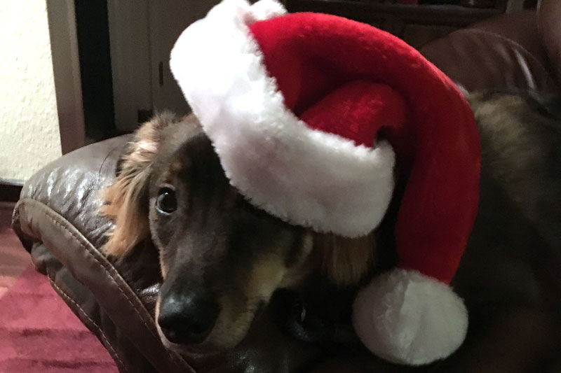 Happy holiday wishes everyone
