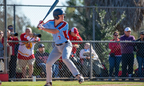 Falcons earn win over Mt. Carmel