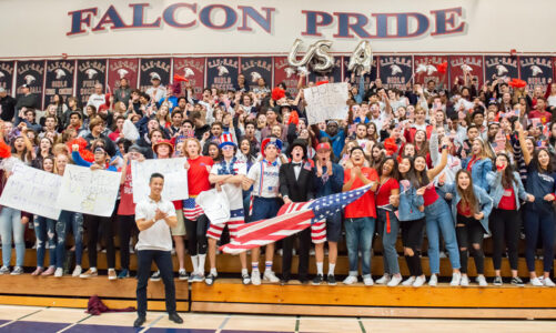 ‘The Cage’ is all the rage!
