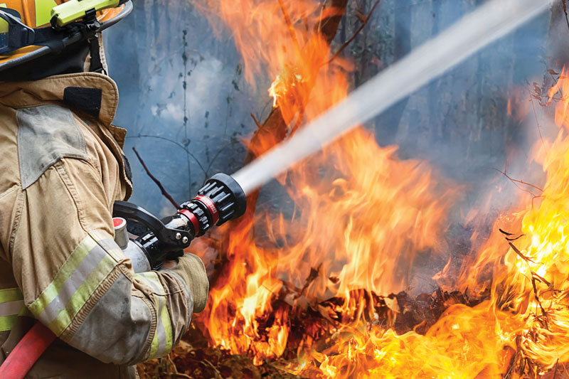 Policies have changed since the Cedar Fire