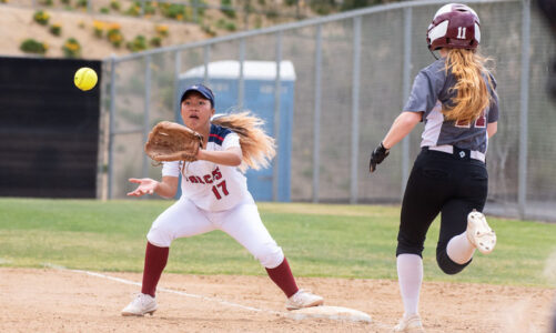 Lady Falcons enter busy week of action