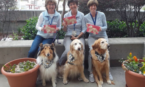 Therapy dogs spread love at EBS