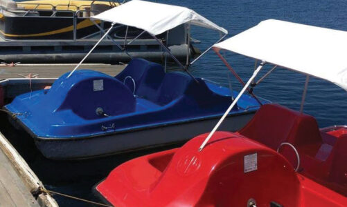 Lake Miramar has rentals for springtime