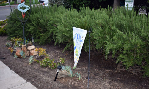 Popular rock garden vanishes overnight