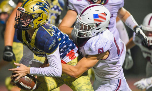 Falcons go for win number 3