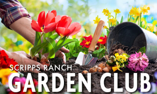 Gardeners will meet for holiday celebration