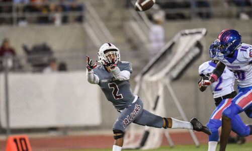 Falcons take 7-0 record to SDHS