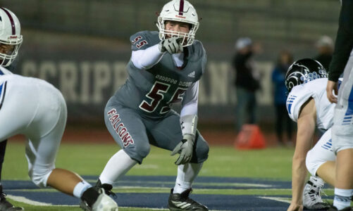 Falcons in semifinal CIF game Friday