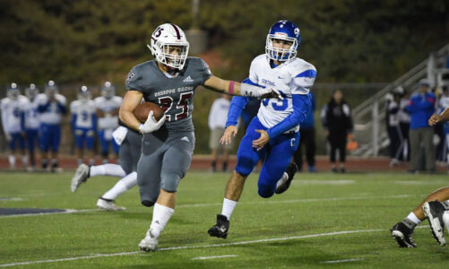 Falcons head to championship final