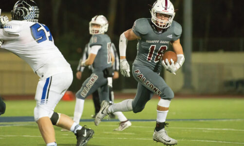 Undefeated SRHS advances to semifinals