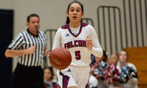 Roundball action: season wraps up