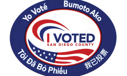 Primary Election;  time to vote