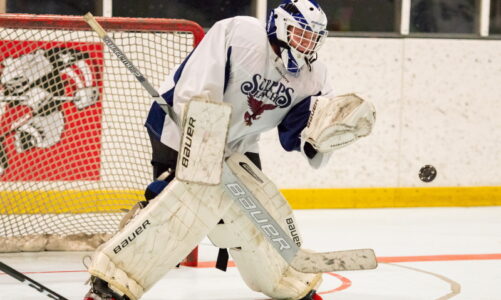 Falcons hockey team goes to championship