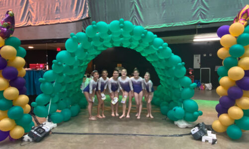 Two local gymnasts score high at LB Open
