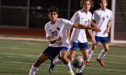Falcons end season in CIF championship