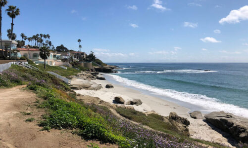 This is our town: Trail in Bird Rock