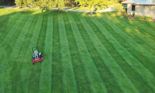 Tips to mow like a pro