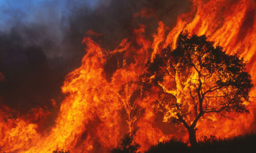 Fire safety: 3 components