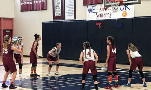 No hoops for NJB this season