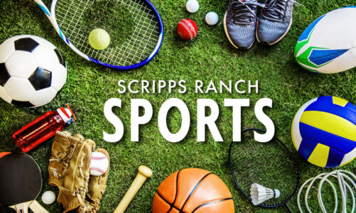 SPORTS UPDATES