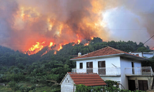 Protect your home  from wildfires