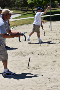 horseshoes3