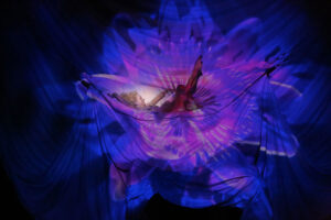 Midsummer-AMND_1_web