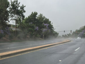 fogrising1