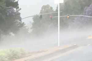 fogrising2