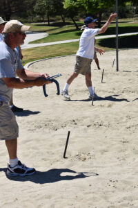 horseshoes3