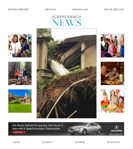 layout_homepage
