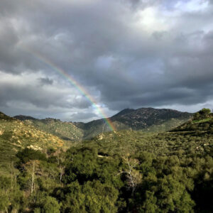 tondee_bluesky_rainbow_NickTondee