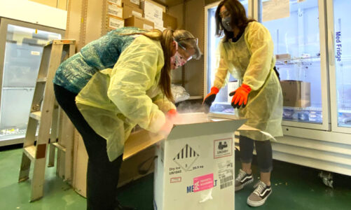 Vaccine doses begin to arrive