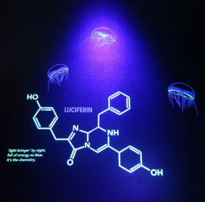 AquariumExhibit_0276