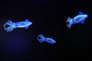 AquariumExhibit_0289