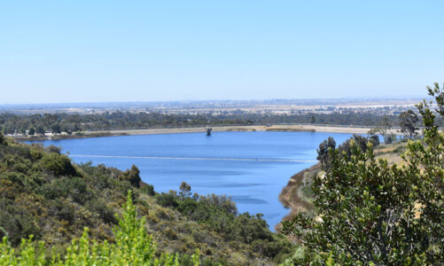 Miramar Reservoir reaches 60 years