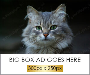 bigbox4