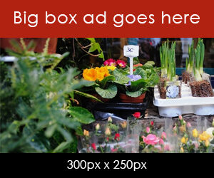 bigbox6